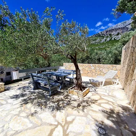 Apartment Maslina Mit Pool Und Garten Nahe Am